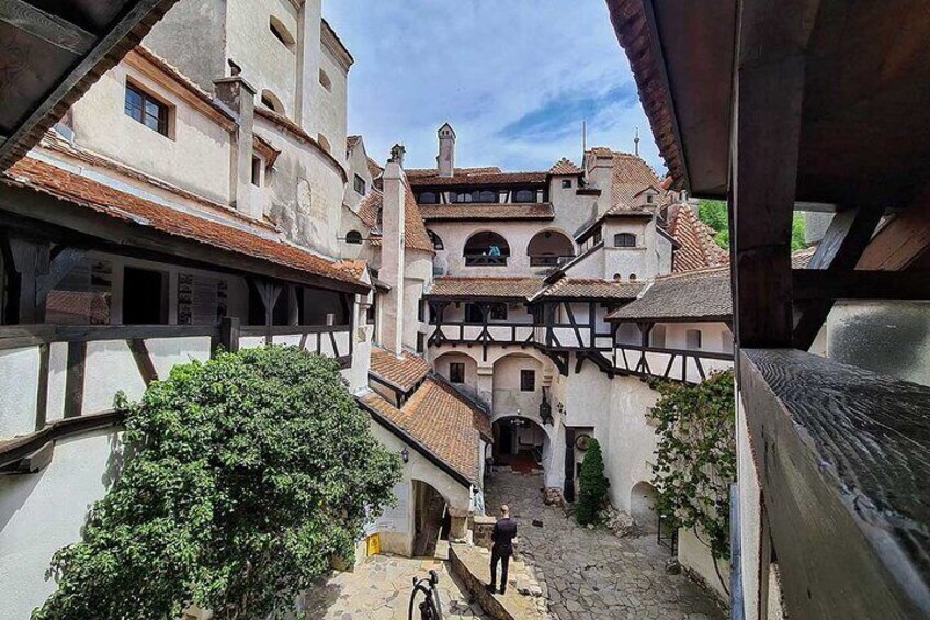  Libearty Bear Sanctuary and Dracula Castle from Brasov