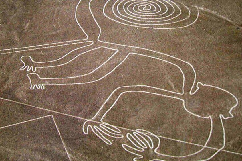 Mysterious Nazca Lines, Overflight from Ica, Huacachina Oasis & Wine Tour!