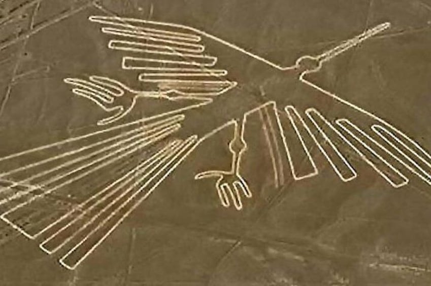Mysterious Nazca Lines, Overflight from Ica, Huacachina Oasis & Wine Tour!