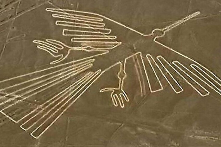 Mysterious Nazca Lines, Overflight from Ica, Huacachina Oasis & Wine Tour!