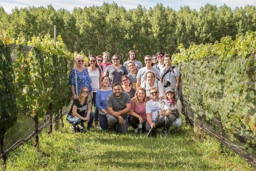 Wine Tour Privado - Calamuchita
