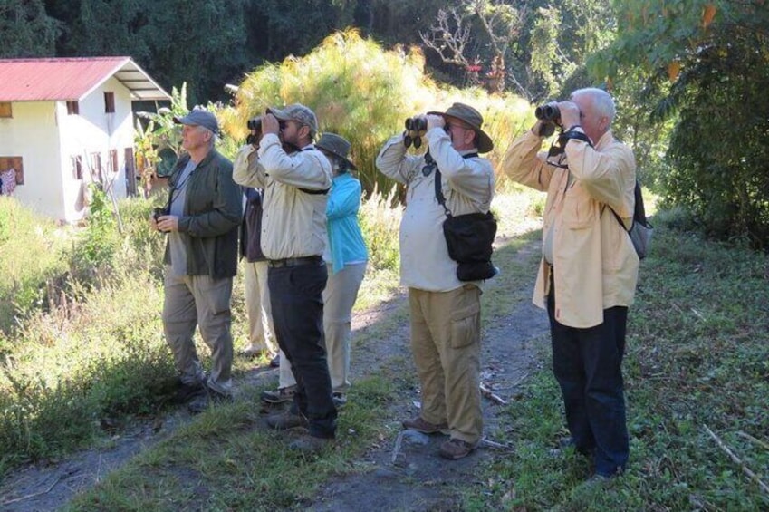 Specialized Birdwatching Tour