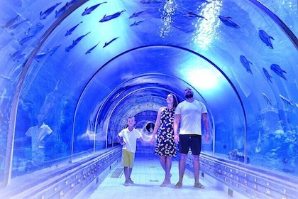 Grand Aquarium Amazing Day With transportation - Hurghada