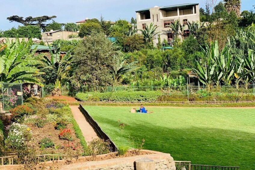 Part of the Zoma museum garden