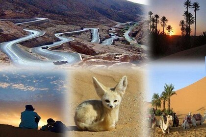 fes to marrakech desert tour 3 days
