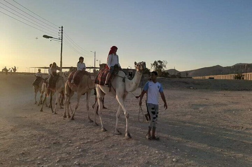 Camel Riding Tours Luxor