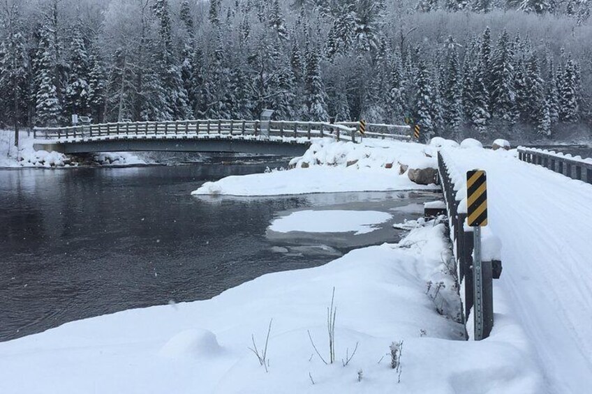 Guided Snowmobile Tours