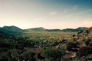 Jeep Safari Tours