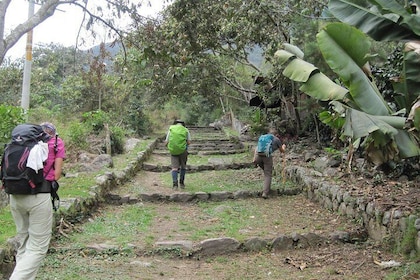 Inca Trail Salkantay To Machu Picchu: 5d4n