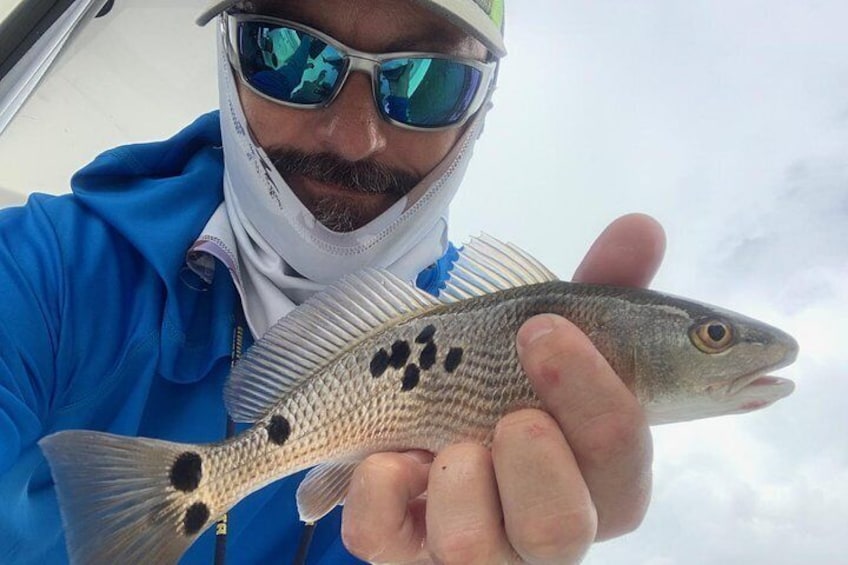 Inshore Fishing on the Waters of the Choctawhatchee Bay