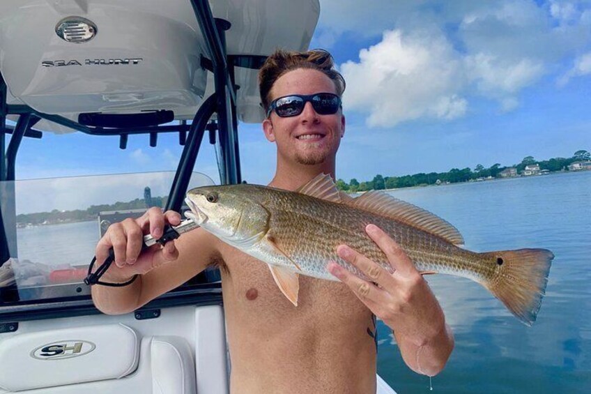 Inshore Fishing on the Waters of the Choctawhatchee Bay