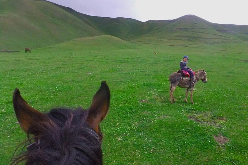 Horse back riding in mountains 