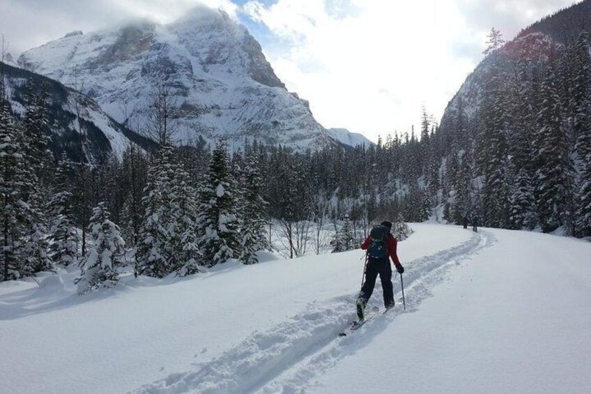 Introduction to Backcountry Skiing / Riding