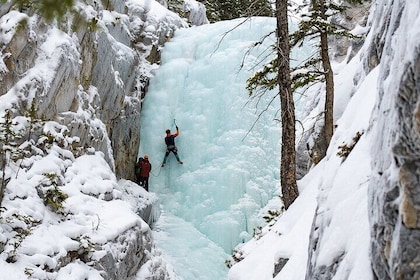 Aventure d'escalade de glace à Banff : Débutant