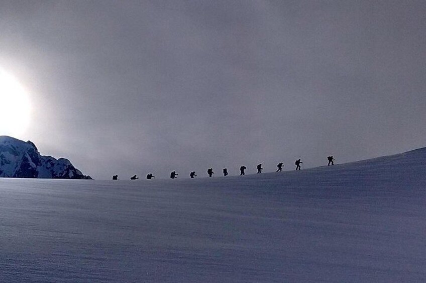 Private ACMG Ski & split-board guide