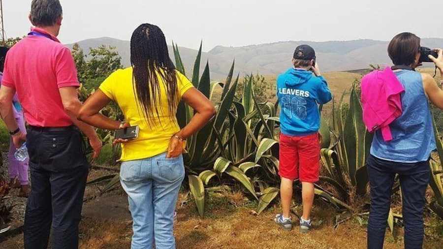Presidential retreat overlooking the mountains of Obudu