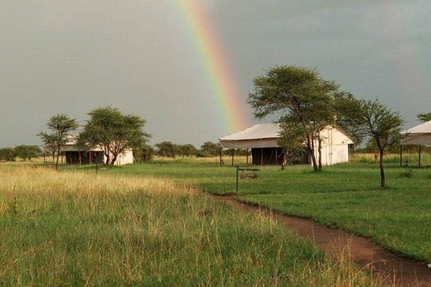 The tented camp in Serenget