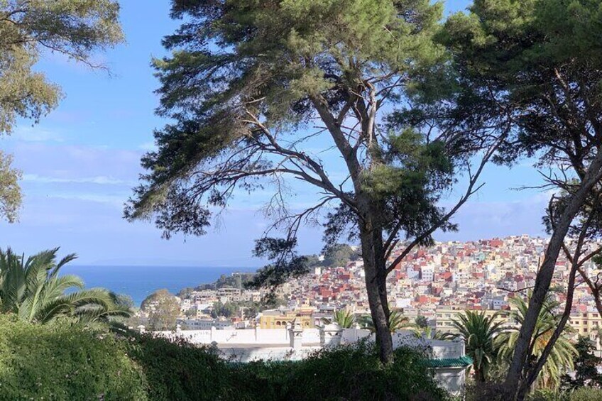 3h Private Walking Tour in Tangier Medina & Colorful Souks