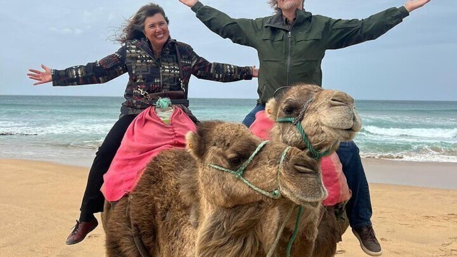Tangier Private Day Tour From Tarifa Including Ferry & Camel Ride