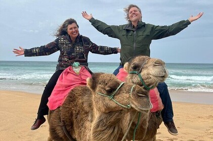 Excursion privée d'une journée à Tanger au départ de Tarifa/Algésiras