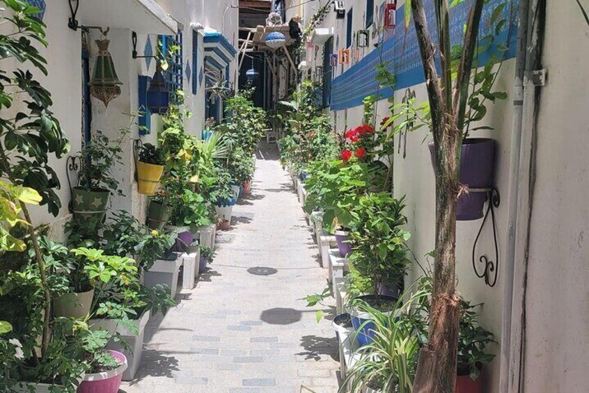 Tangier Private Full Day Tour from Tarifa/Algeciras