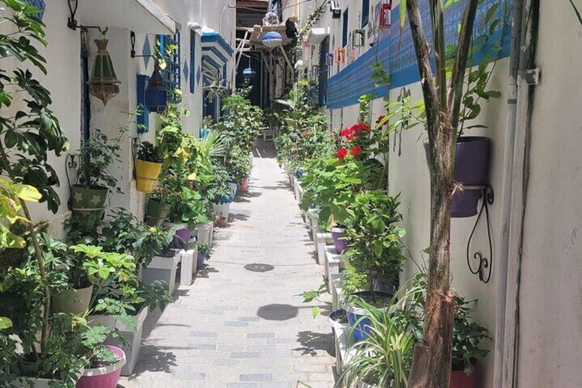 Tangier Private Full Day Tour from Tarifa/Algeciras