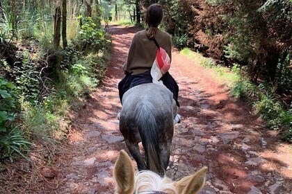 Horseback, Food & Wine - Authentic & VIP Experience