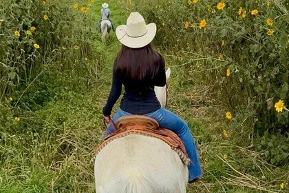 Paseo a caballo por las montañas y comida en nuestro rancho.