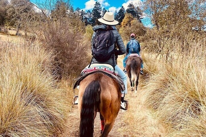 山での乗馬と牧場の食事