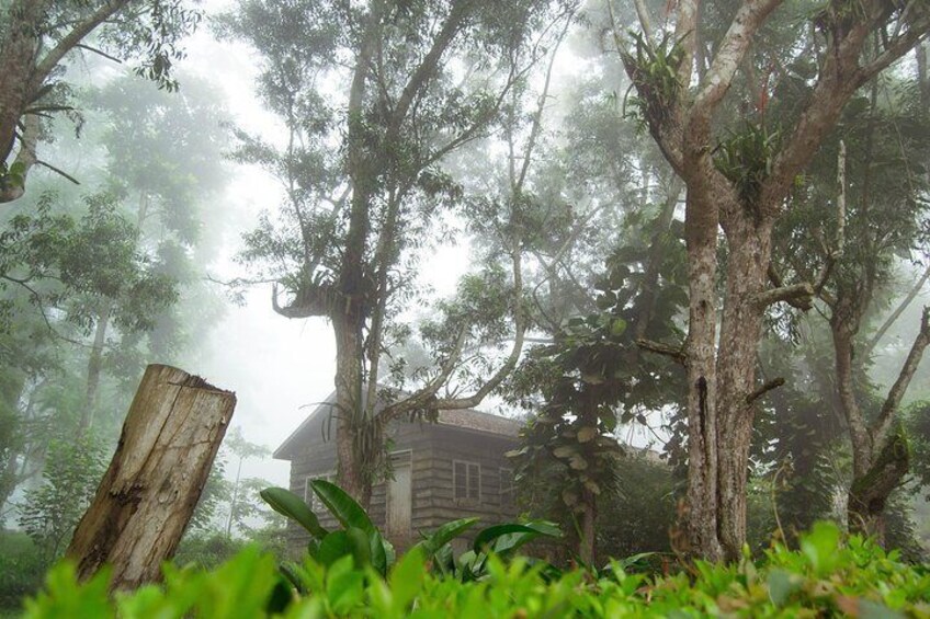 Escape Accra City to Aburi Gardens and Tetteh Quarshie Cocoa Farms