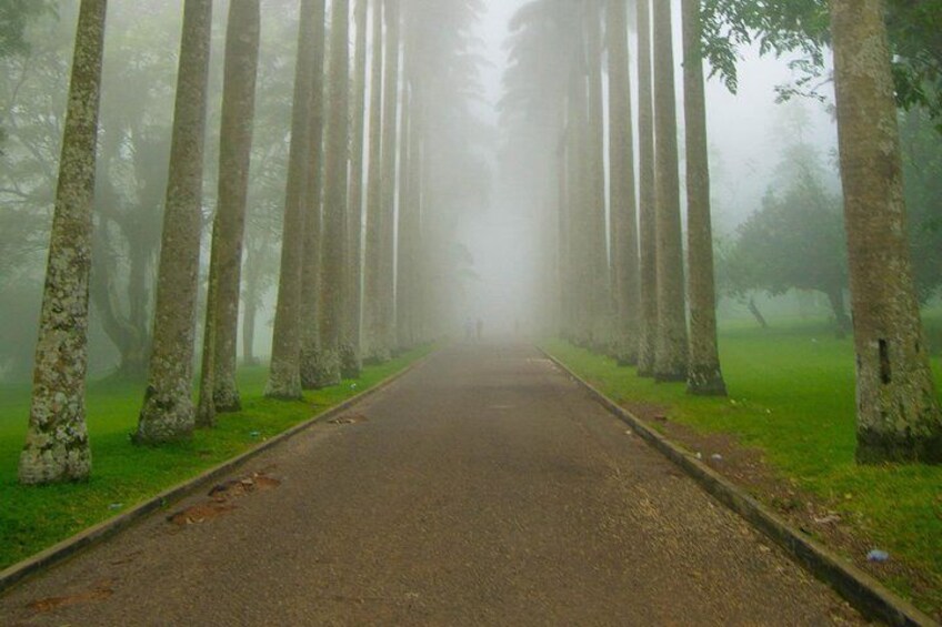 Escape Accra City to Aburi Gardens and Tetteh Quarshie Cocoa Farms