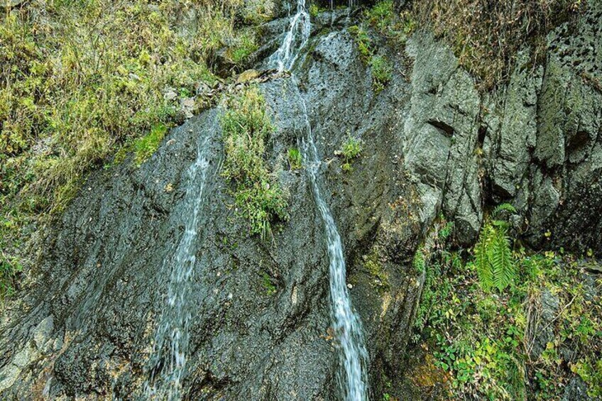 Alma-Arasan gorge tour