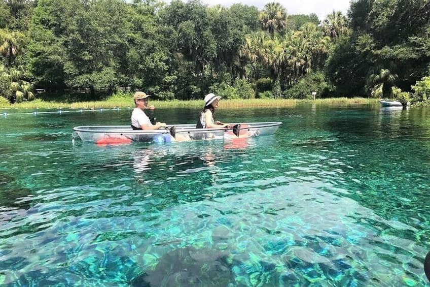 2-Hour Glass Bottom Guided Kayak Eco Tour in Rainbow Springs (Small-Group)