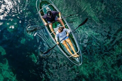 Glass Bottom Kayak Eco Tour through Rainbow Springs