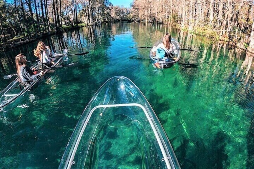 2-Hour Glass Bottom Guided Kayak Eco Tour in Rainbow Springs (Small-Group)