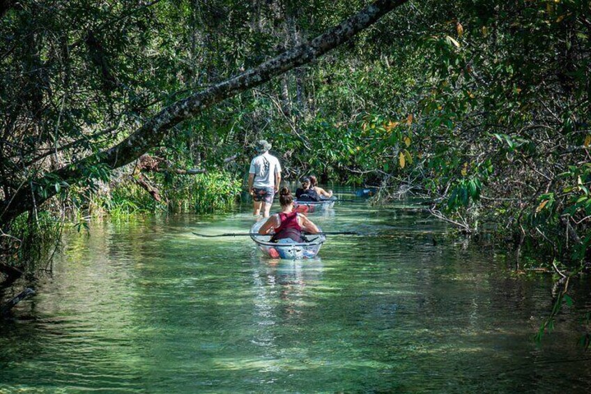 Glass Bottom Kayak Eco Tour through Rainbow Springs