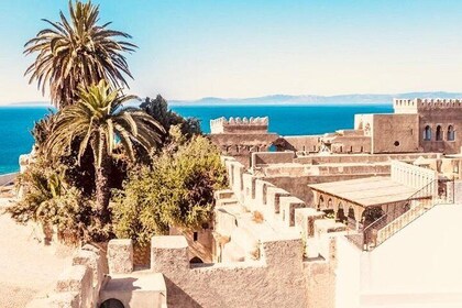 Day Trip - Fez > Tangier