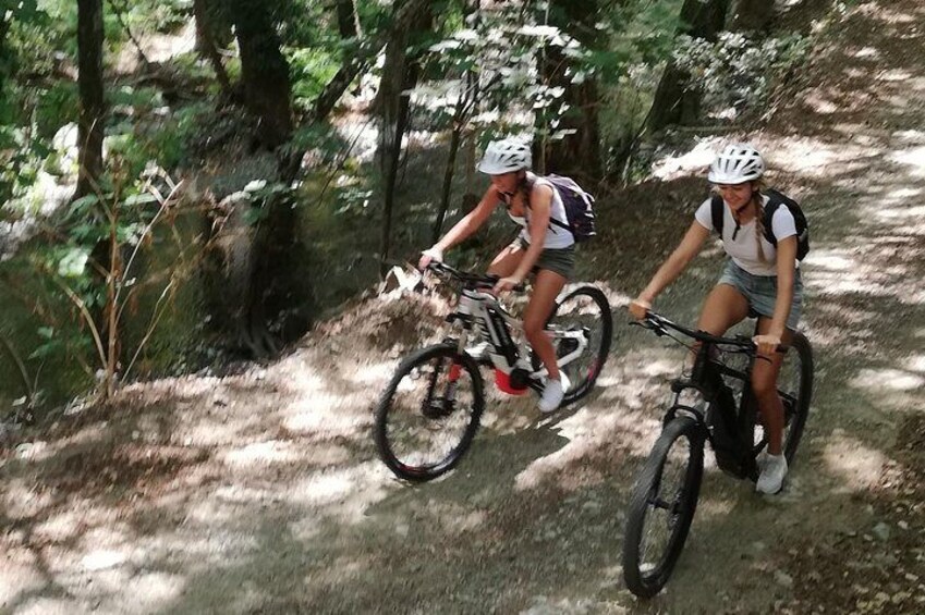 Explore Paphos forest with e-mountain bikes 