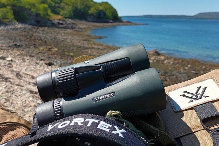 Quality Viewing optics