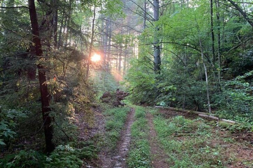 New River Gorge ATV Adventure Tour