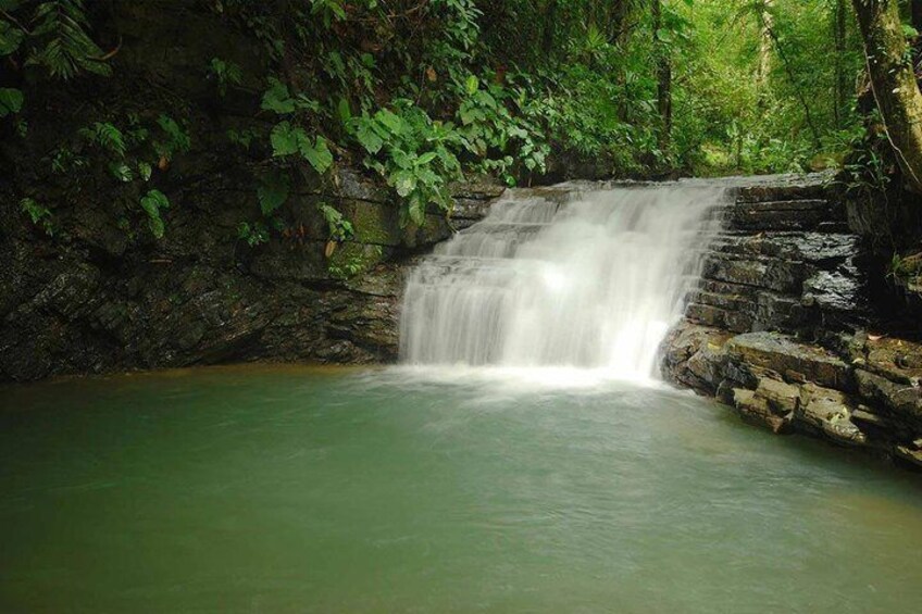 Jade Cascade, surrounded by the forest, has depth levels