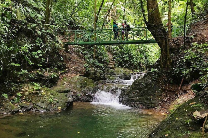 Bridge in the Hacienda Ebano Natural Reserve's trail