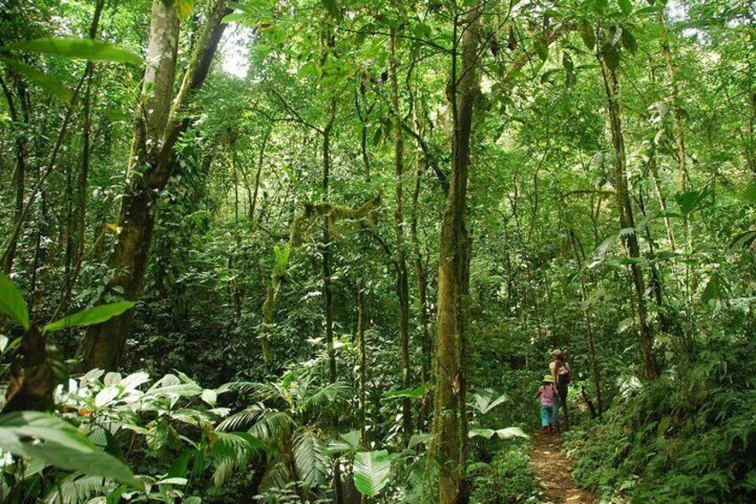 Hiking Trail in the Natural Reserve