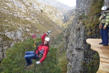 Zip Line and Wine from Cape Town