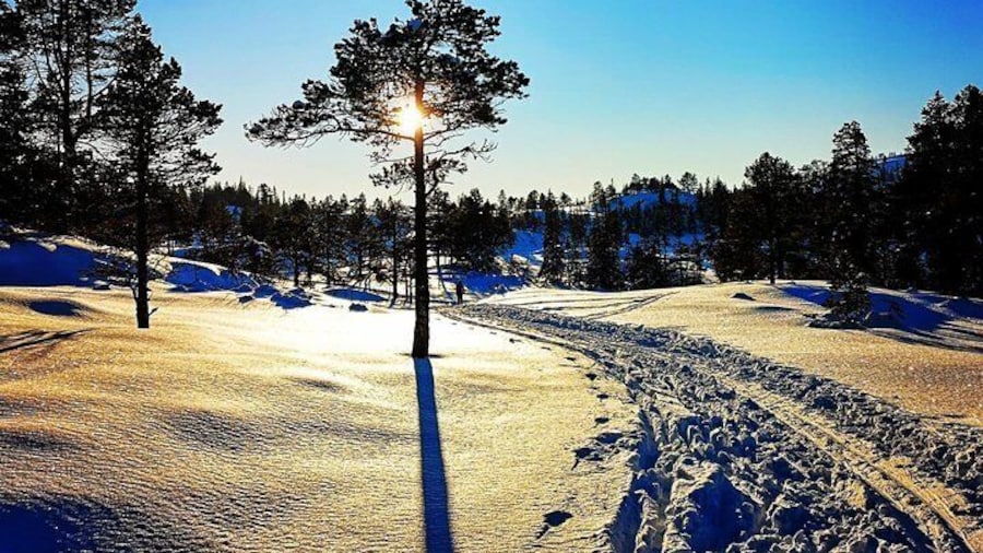 Photo by: Siw Sellæg