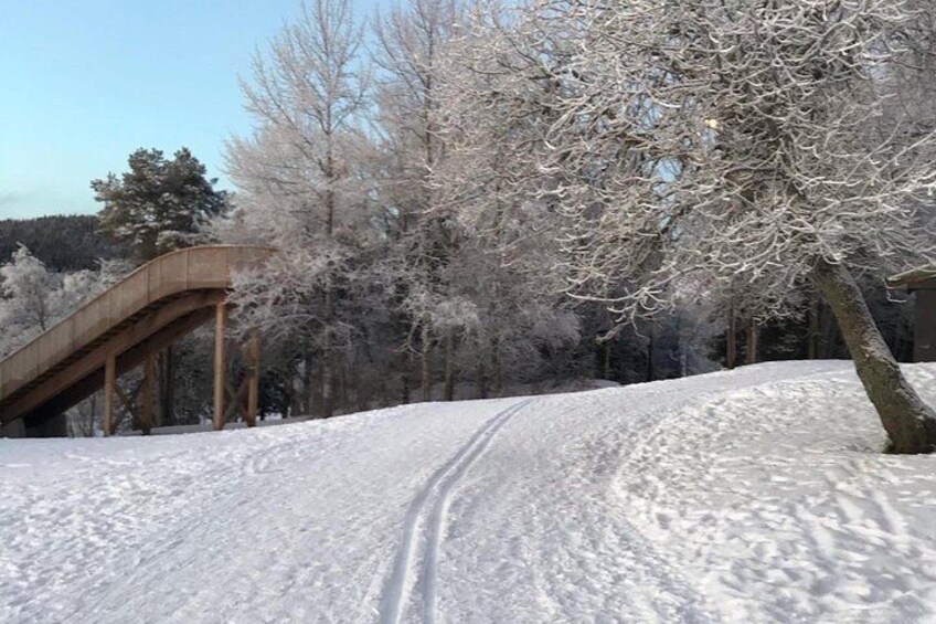 Skiing in winter wonderland