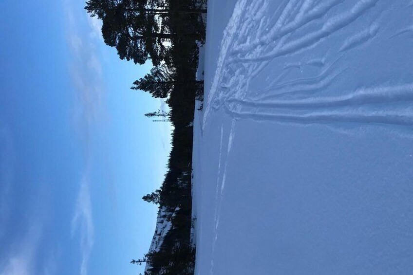 Skiing in winter wonderland