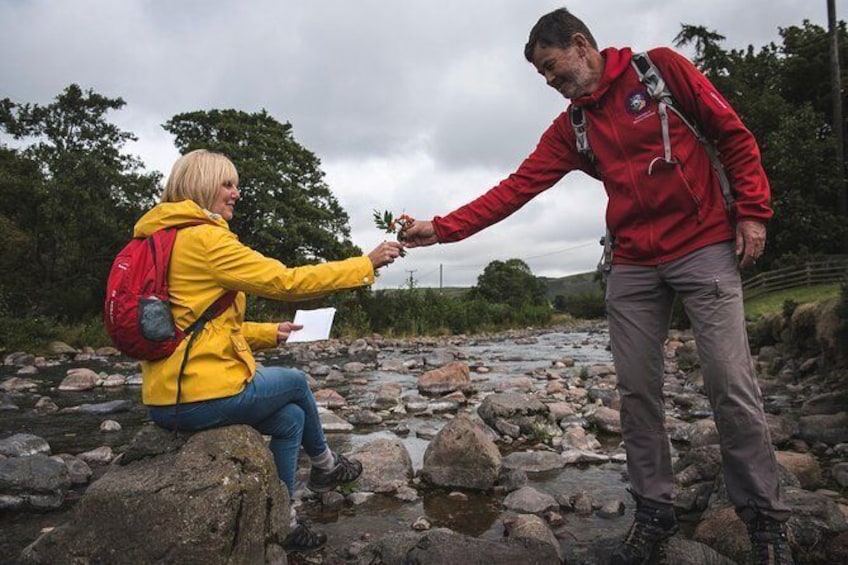 Show item 1 of 10. Arty Footsteps - part of the English National Park Experience Collection