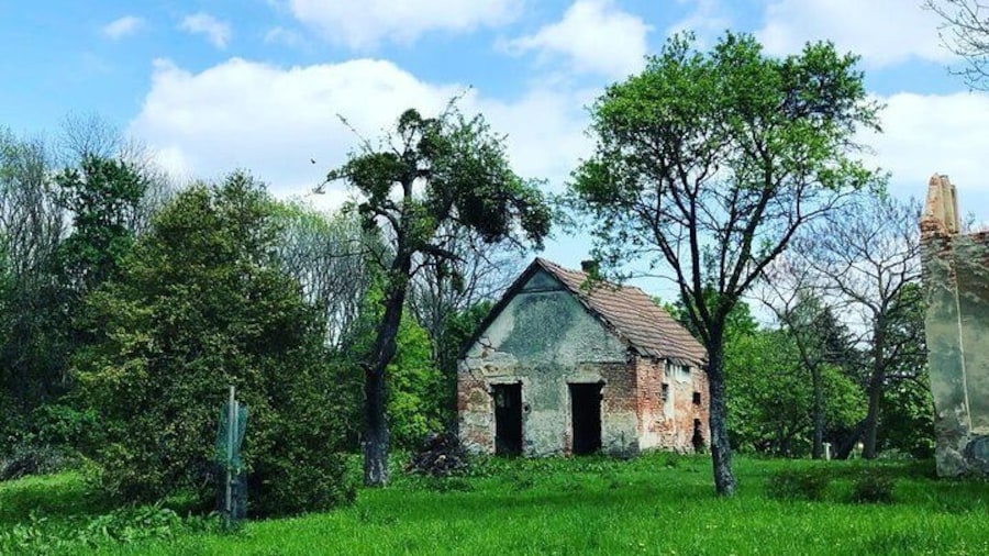 Woodcutter's cottage