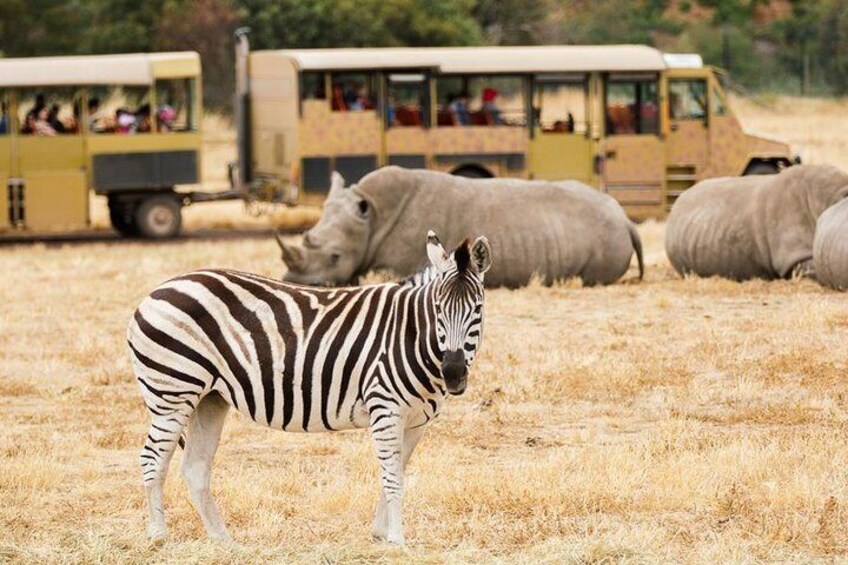 5-Day Maasai Mara-Nakuru joining group Budget